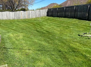 Janice D.'s turf maintenance service result