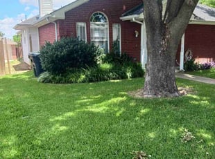 Jenna H.'s grass maintenance service result