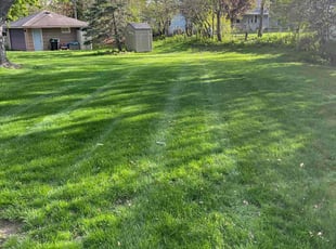 Deepti S.'s lawn care services service result