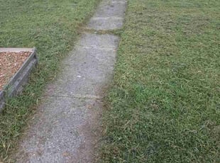 Michelle P.'s turf care service result