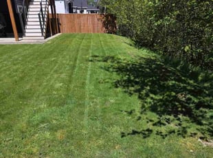 Susan V.'s turf maintenance service result