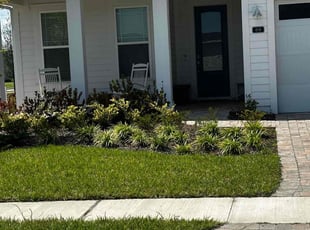 Juan A.'s turf care service result
