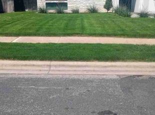 Russ G.'s lawn care service result