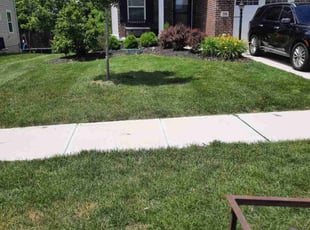 Keaton P.'s turf care service result