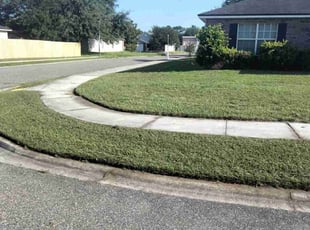 Mary H.'s grass maintenance service result