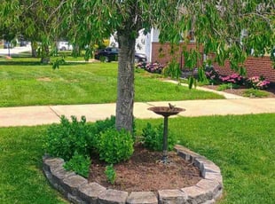 Marion J.'s Flower Bed Weeding service result