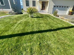 Sandra P.'s lawn care services service result