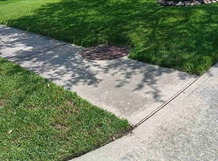 Joshua W.'s grass cutting service result