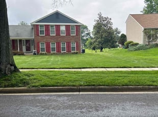 Dameico M.'s turf care service result