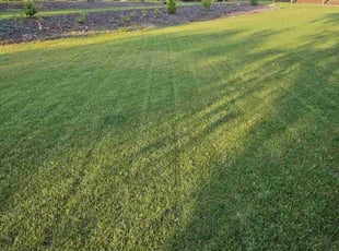 Jessica L.'s lawn care service result