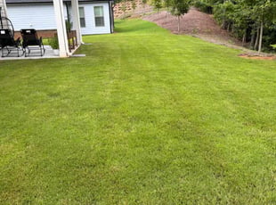 Trey R.'s grass maintenance service result