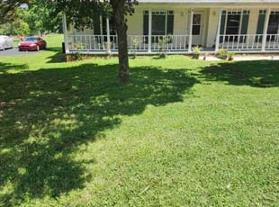 Renee S.'s grass cutting service result