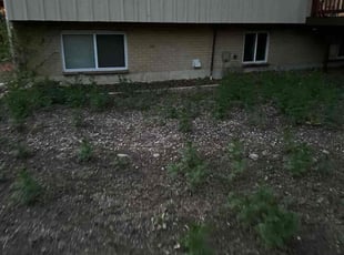 Kelly K.'s Leaf Removal service result