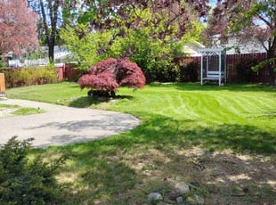 Jennifer W.'s lawn care services service result