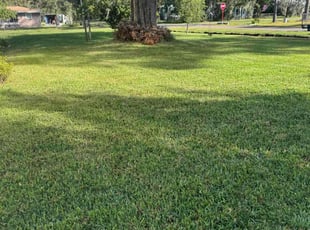 Jeffrey D.'s grass maintenance service result