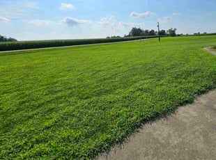 Hua Z.'s lawn care service result