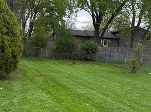 Cass B.'s lawn service service result