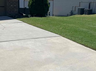 Lubonski L.'s turf maintenance service result
