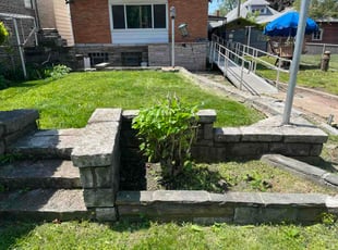 Leonardo S.'s Bush Trimming service result