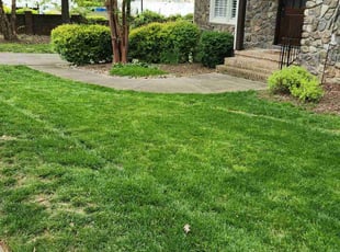 Constance L.'s gardening service service result