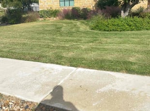 Brad C.'s Bush Trimming service result