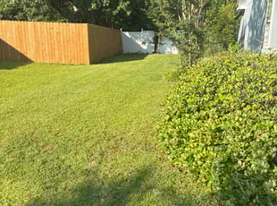 Tracy O.'s lawn maintenance service result