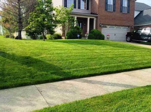Clinton N.'s lawn care services service result
