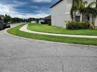 Solita E.'s lawn service service result