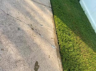 David A.'s lawn service service result