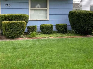Marsh K.'s Bush Trimming service result