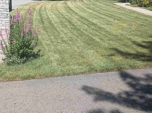 Brenda B.'s lawn service service result