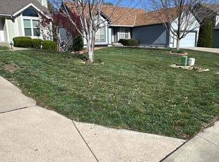 Sandi P.'s lawn care services service result