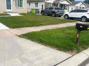 Cindy S.'s lawn service service result