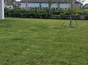 Jonathan C.'s turf maintenance service result