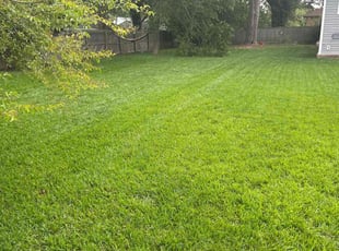 Karen S.'s lawn care services service result