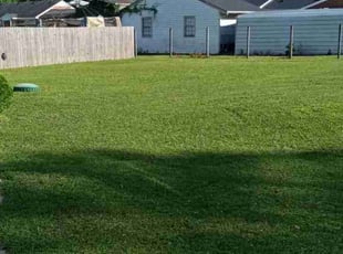 Diane O.'s lawn service service result