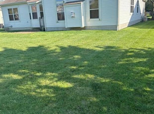 Benjamin D.'s grass cutting service result