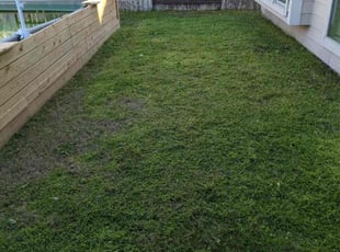 Heather H.'s lawn maintenance service result