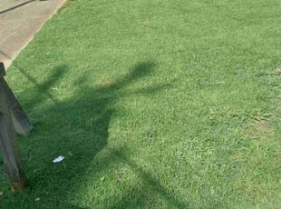 Sendal S.'s lawn care services service result