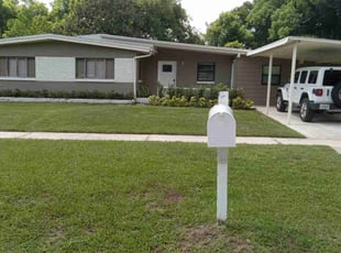Steve L.'s grass cutting service result