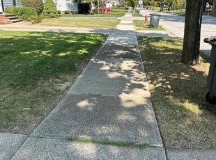 Arqua H.'s grass cutting service result