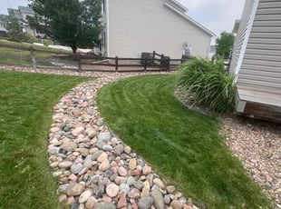 Laurel D.'s lawn service service result