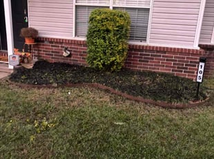 Kaitlin S.'s lawn maintenance service result