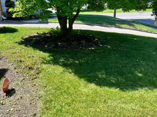 Jim K.'s residential landscaping service result
