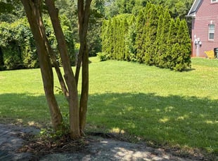 Brooke H.'s grass cutting service result