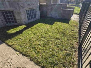 Shavon G.'s turf care service result