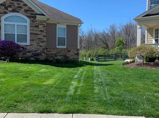 Shauna G.'s lawn care services service result