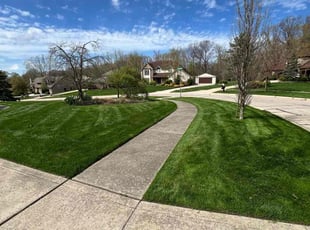 Erica M.'s lawn service service result