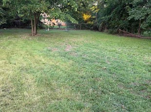 Thomas G.'s lawn maintenance service result