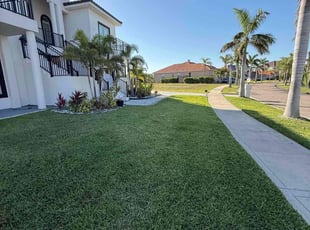 Rakelle E.'s grass maintenance service result